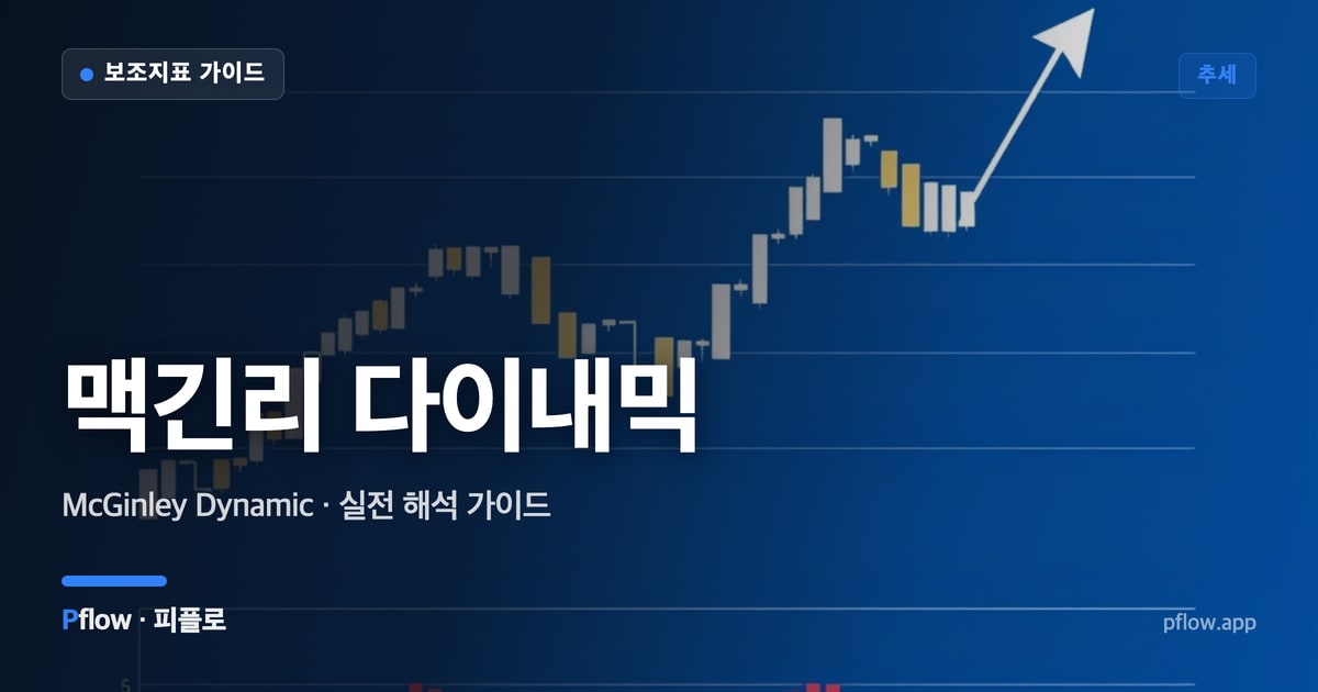 맥긴리 다이내믹 대표 이미지
